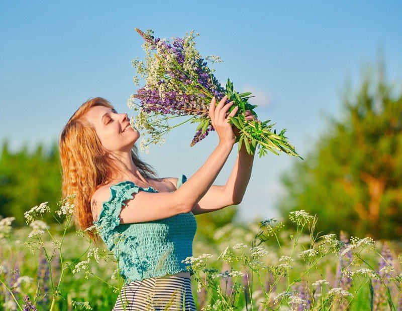 Hannekes Pflückgarten